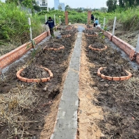 Bán đất Bình Mỹ Củ Chi - 1 sẹc Tỉnh Lộ 9, khu dân cư sầm uất, tiềm năng sinh lời cao