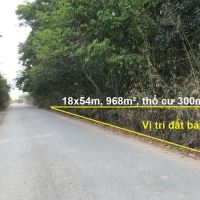 Bán đất Củ Chi, Mặt tiền Nguyễn Thị Châu, xã Phú Hòa Đông, 968m² Giá 6.5 Tỷ
