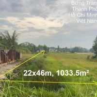 Bán Đất Mặt Tiền Đường Bưng Tràm, Xã Phú Hòa Đông Củ Chi - 1033m² Giá cực rẻ