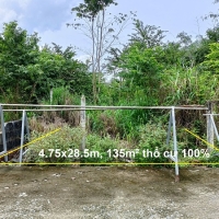 Bán đất mặt tiền đường 6m xã Phú Hòa Đông, Củ Chi (Tân Thạnh Tây cũ) – 135m² thổ cư 100%, vị trí đẹp, giá cực rẻ