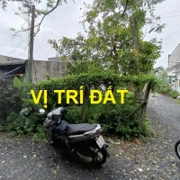 Bán Đất Mặt Tiền Xã Tân Thạnh Đông, Củ Chi, 5x20m, Thổ Cư 86m², Sổ Riêng, Giá Cực Rẻ