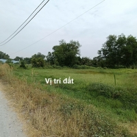 Bán đất thổ vườn xã Phú Hòa Đông Củ Chi, đường lớn thông xe tải, cách Nguyễn Thị Nê chỉ 300m