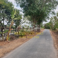 Đất vườn MT đường Trần Thị Nghi, xã Tân Phú Trung Củ Chi, quy hoạch đất ở 100%